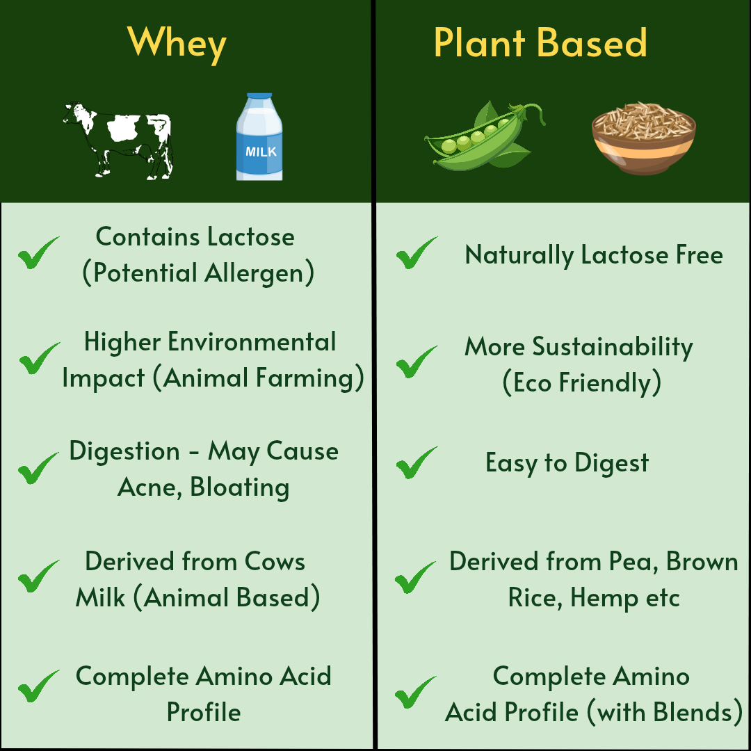Whey Protein vs. Plant-Based Protein: Which One Is Right for You?  The  Leafy Wellness