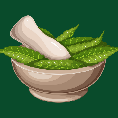 Plant-Based Protein vs Whey: An Ayurvedic Perspective