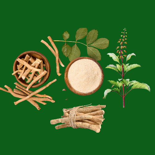 Benefits of Ashwagandha, Shatavari & Tulsi with Protein Powder