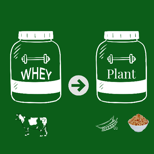 how switching from Whey Protein to Plant Protein helps our planet