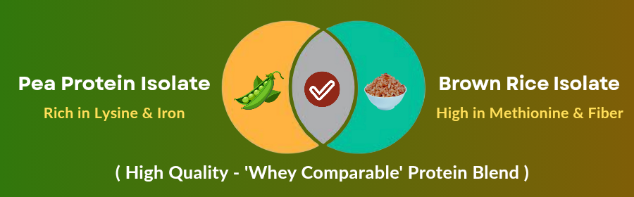 Diagram Depicting how Plant based protein with Pea and Brown Rice Blend is as good as Whey Protein
